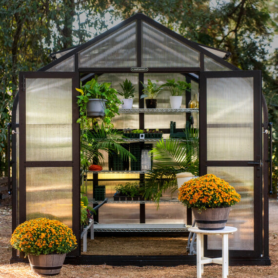 Vego Garden Pacific Greenhouse - 8.5ft Wide VGH0808PCBK