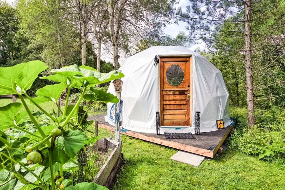 Phoenix Domes 16ft Basic Dome - MF PD-1001