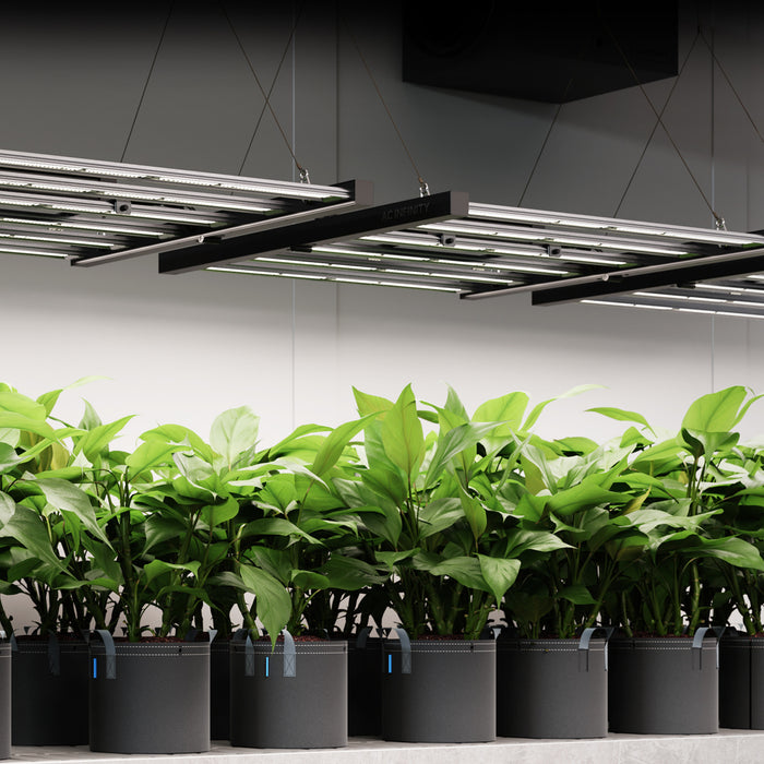 AC Infinity Commercial LED 5x5 ft. AC-IF8K