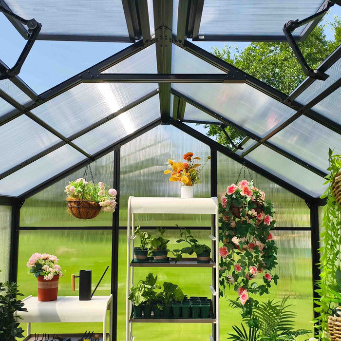 Vego Garden Junior Victorian Greenhouse - 8.0ft Wide VGHJV0808PCBK
