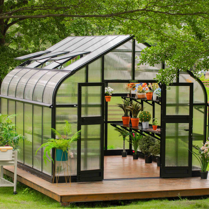Vego Garden Pacific Greenhouse - 10.5ft Wide VGHP1012PCBK