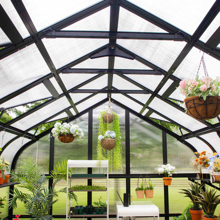 Vego Garden Pacific Greenhouse - 10.5ft Wide VGHP1012PCBK