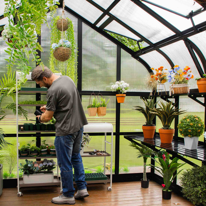 Vego Garden Grand Pacific Greenhouse - 12.5ft Wide VGHP1212PCBK